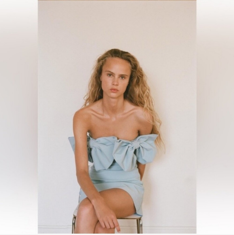 ZARA STRAPLESS BOW DRESS